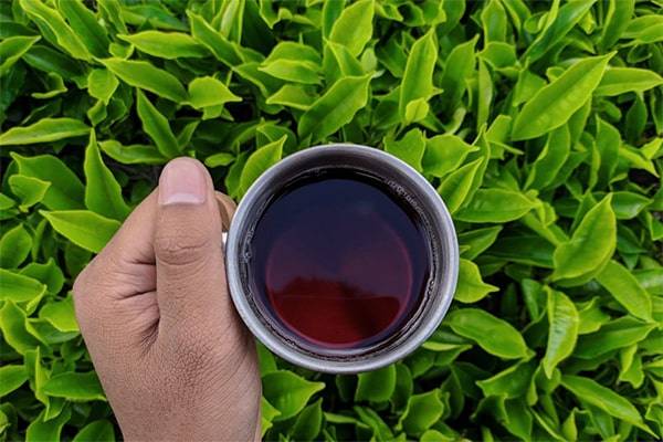 https://shp.aradbranding.com/قیمت خرید چای لاهیجان درجه یک + فروش ویژه
